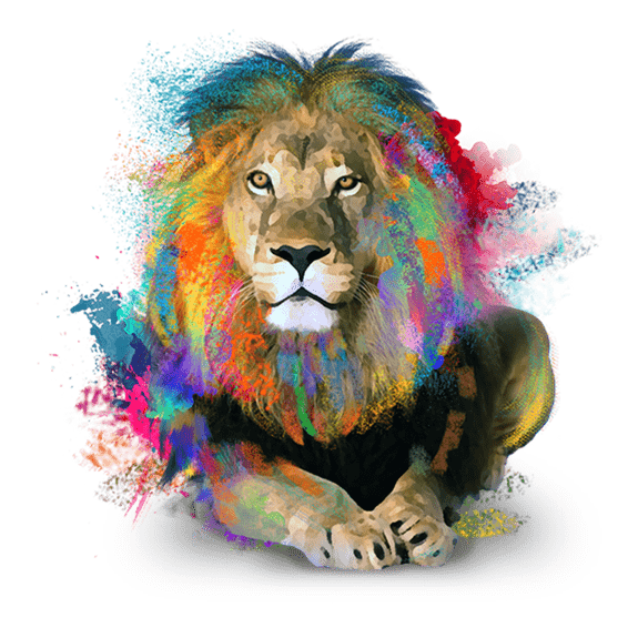 Creative Lion, Web Designer