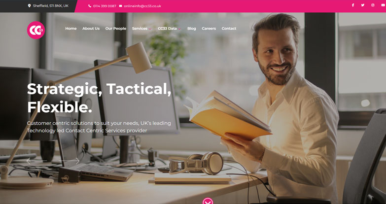 software company web design